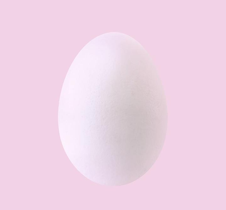 Egg